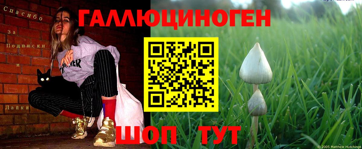 Галлюциногенные грибы мухоморы Минусинск