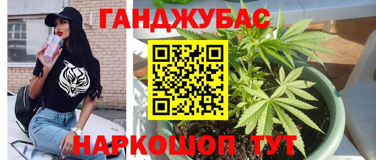 Каннабис план Минусинск